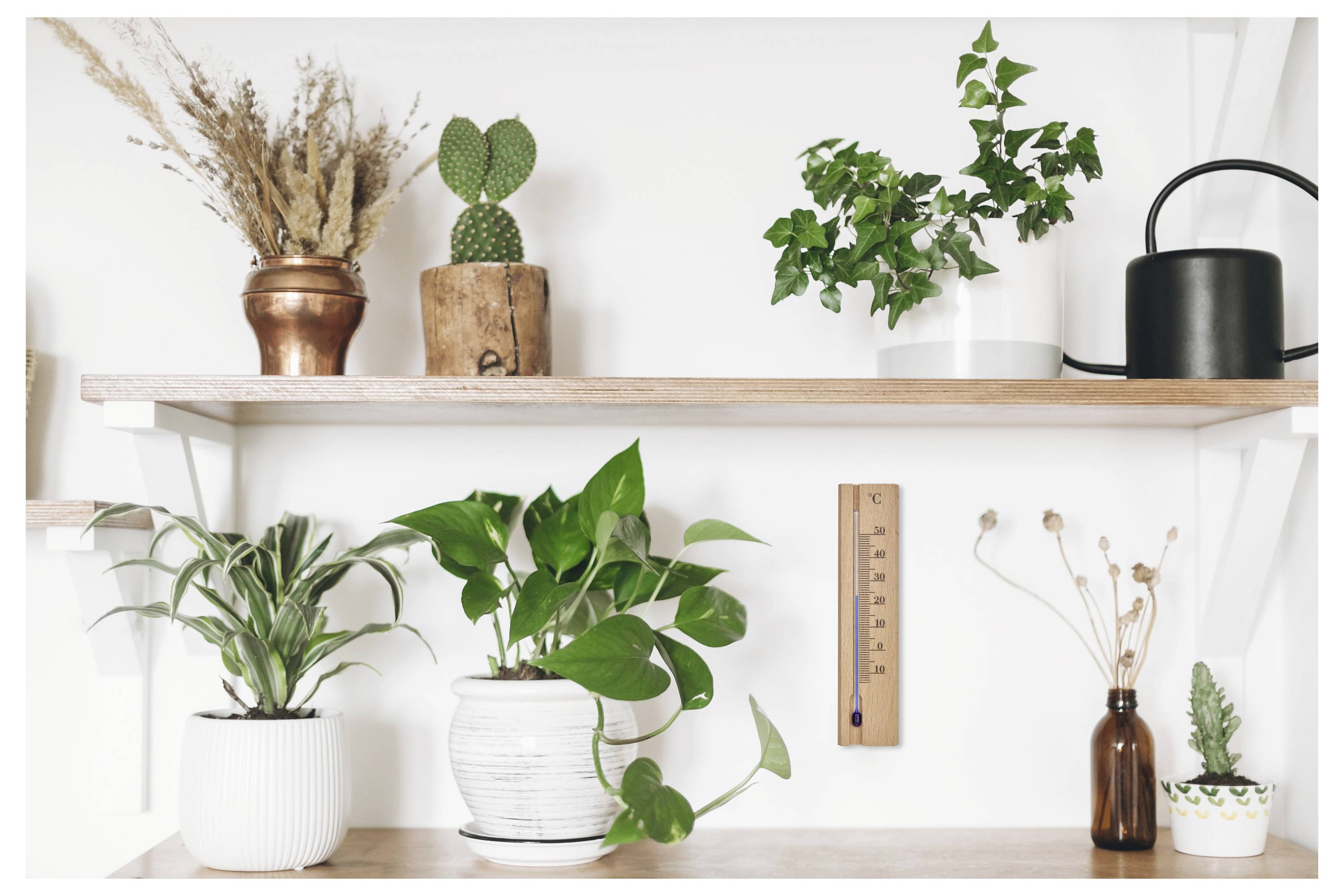 Minimalistiska hyllor med flera krukor med inomhusväxter, torkade gräs och dekorativa vaser arrangerade mot en vit vägg