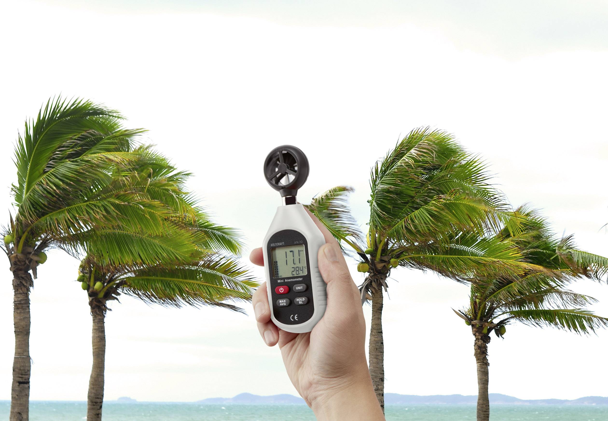 Ett handhållet anemometer visar 11,1 km/h vindhastighet, medan palmer i bakgrunden böjs av vinden.