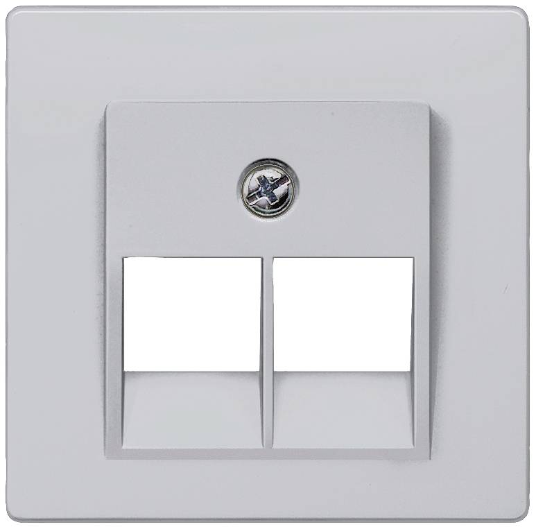 Dubbel nätverksuttag med rektangulär form och centralt placerad skruvhuvud, lämplig för Ethernet- eller telefonanslutningar.