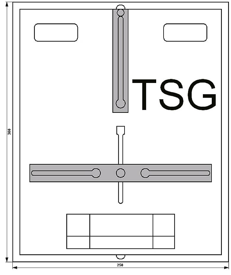 Teknisk ritning av en rektangulär komponent märkt 'TSG'. Innehåller mått: 300x250.