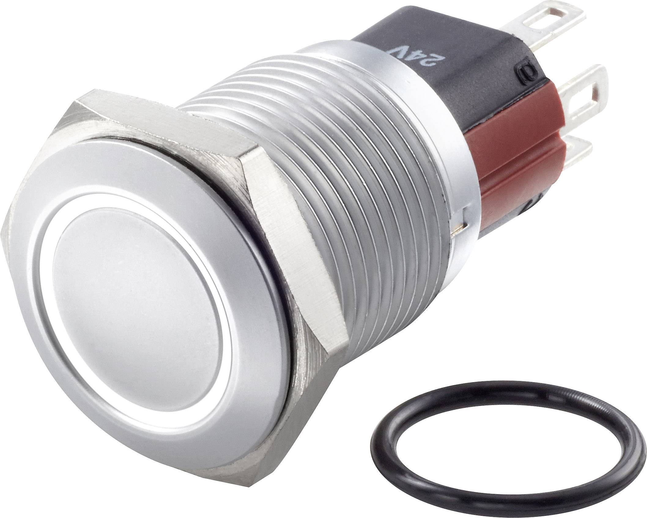 TRU COMPONENTS TC-7495028 TC-GQ16-KH-11ZE/J/W/12V/C Vandalskyddad Tryckströmbrytare 48 V/DC 2 A 1x Av/På låsande Vit IP65 1 st