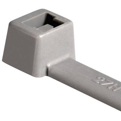 HellermannTyton 116-01818 T18R-PA66-GY Buntband 101.60 mm 2.45 mm Grå 100 st