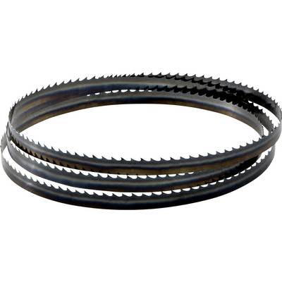 Två loop-formade metallbandskärsågblad med vassa tänder, visade på en vit bakgrund.