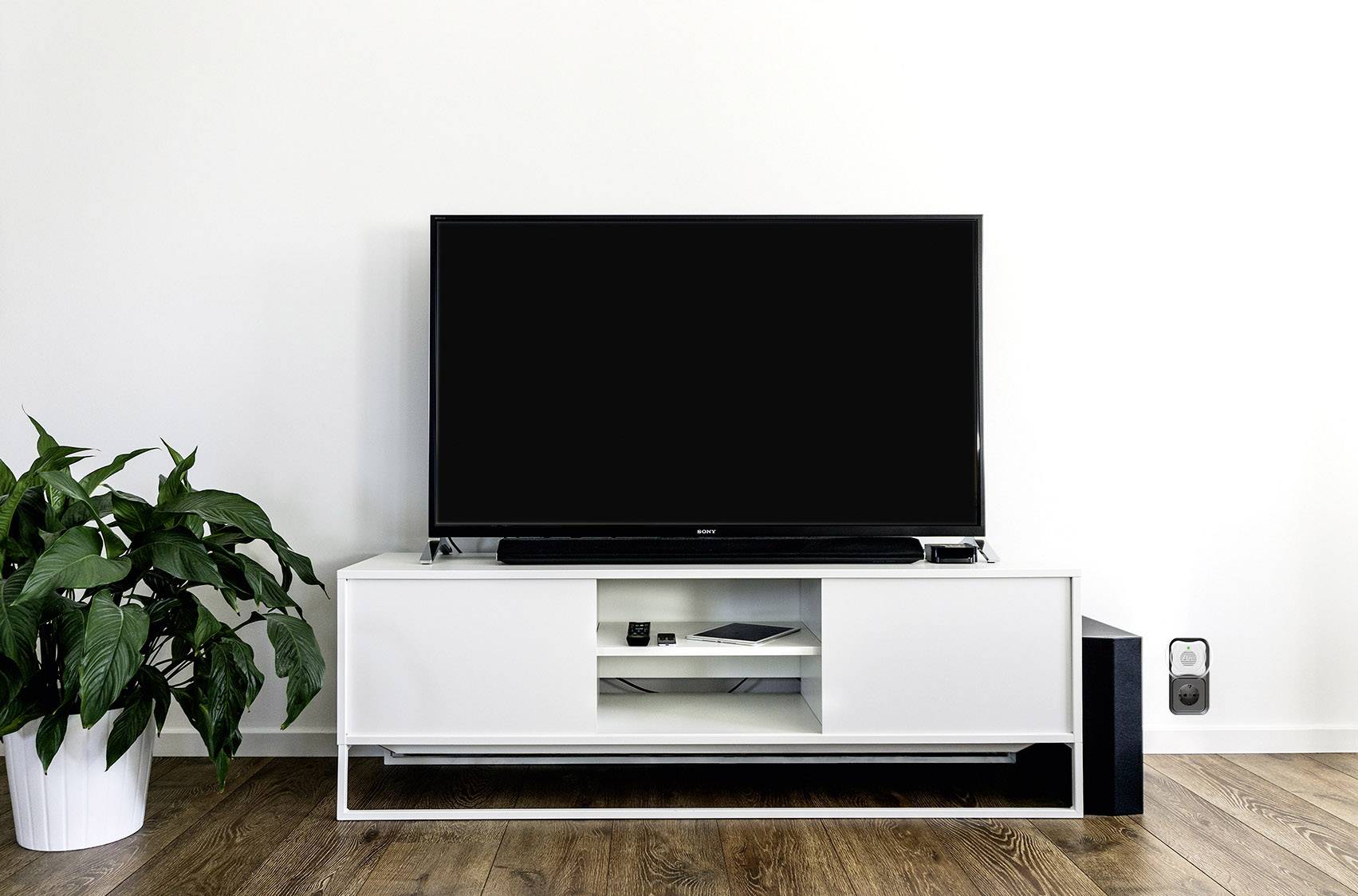 Ett vardagsrum med en stor TV på ett vitt TV-bord. Till vänster står en grön växt, till höger en liten högtalare.