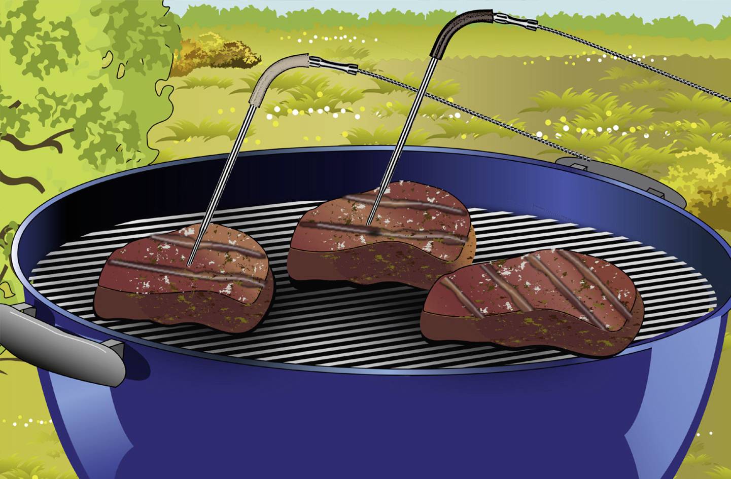 'Tre biffar på en rund grill med termometrar utomhus. Gräs och träd i bakgrunden.'