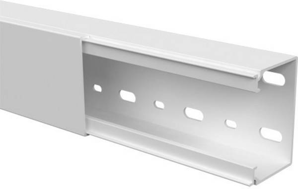 GGK 11030 Kabelkanal  (L x B x H) 2000 x 60 x 40 mm 1 st Renvit
