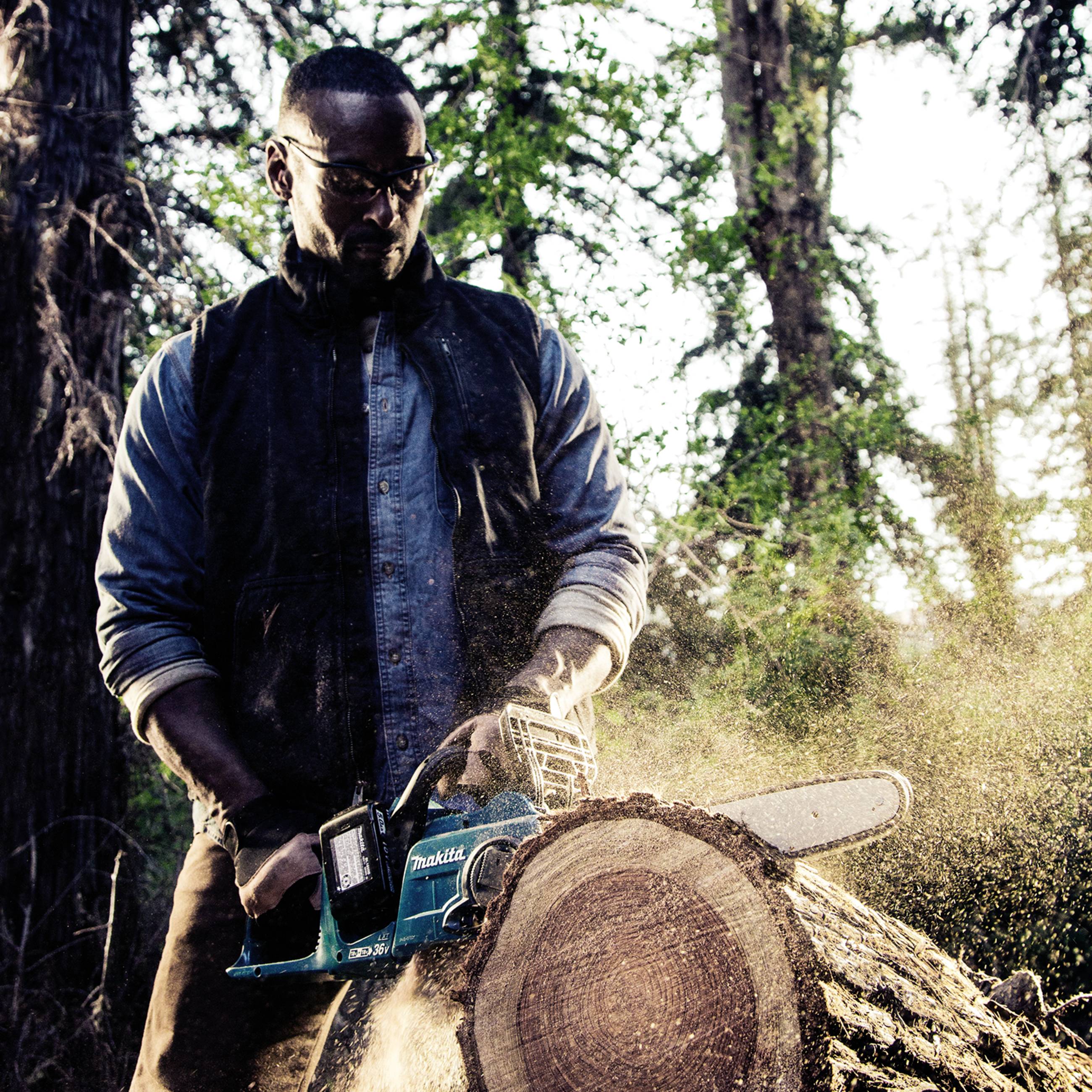 En man sågar en trädstam med en motorsåg i en skog. Solljus flödar genom träden i bakgrunden.