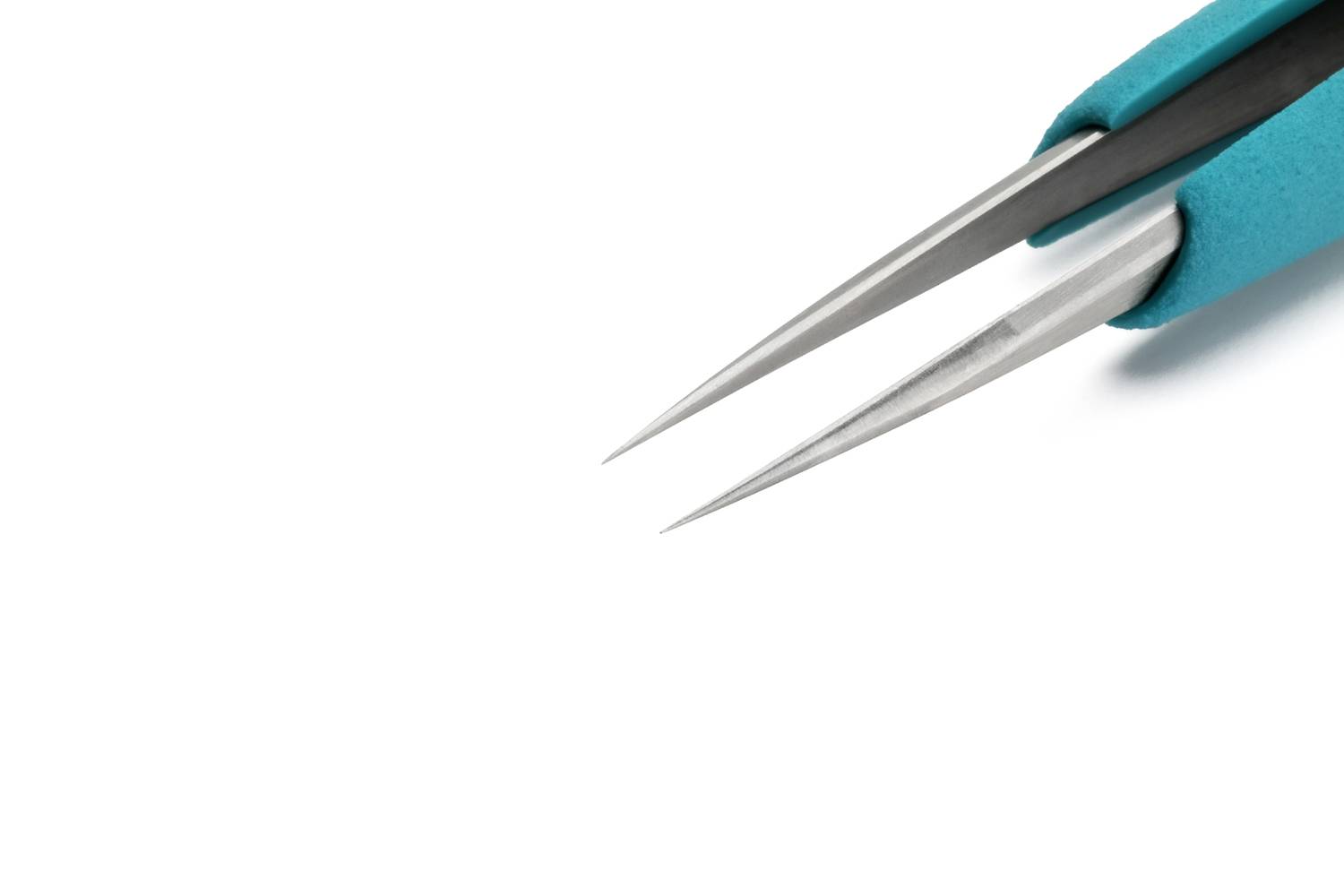 Spetsig pincett med blå handtag, delvis synlig i bilden, ligger på vit bakgrund.