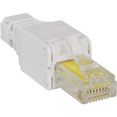 En vit RJ-45-nätverkscontact med synliga guldkontaktpinnar.