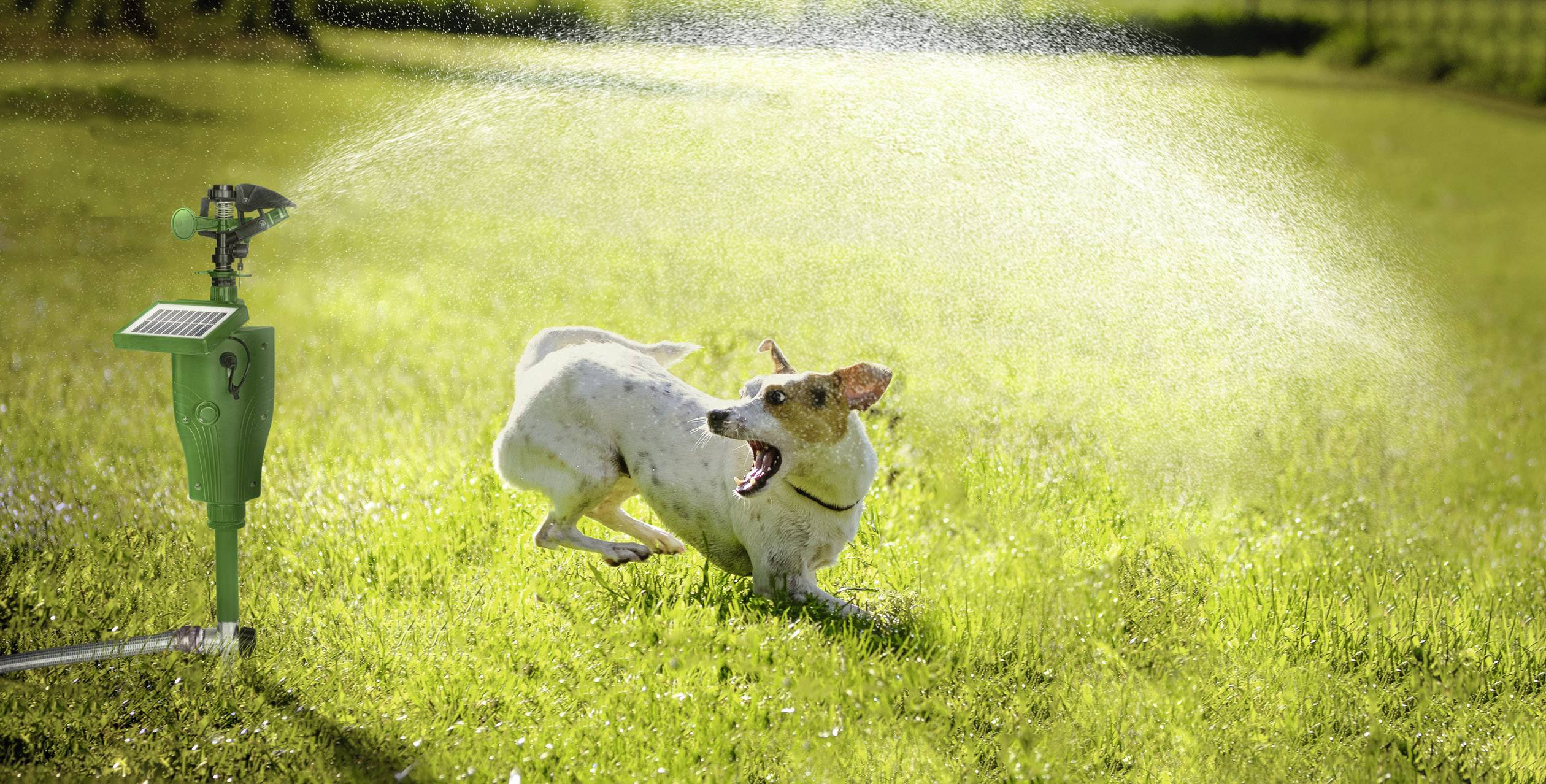 Gardigo Activated Sprinkler Skadedjursskrämma Funktionstyp Vattenstråle Effektivt område 60 m² 1 st-2