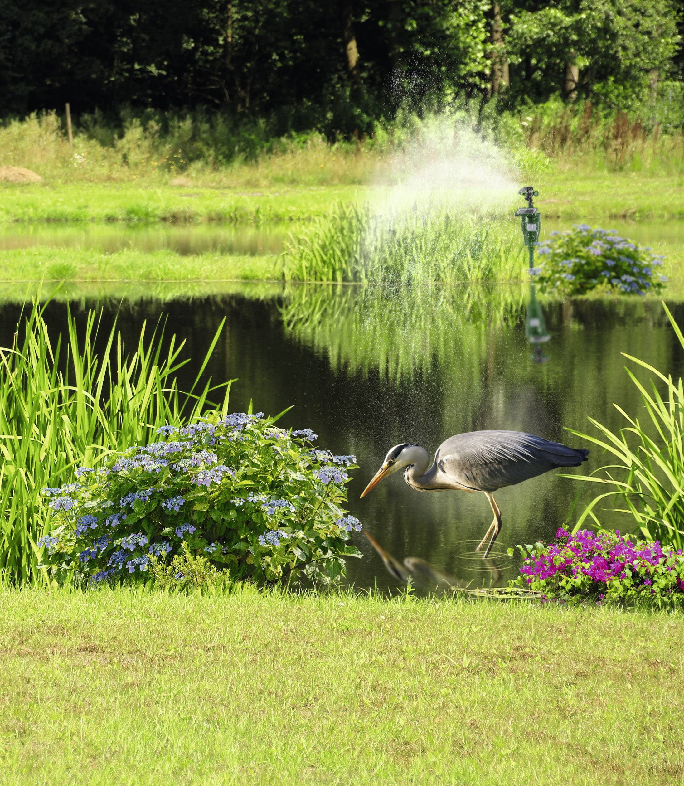 Gardigo Activated Sprinkler Skadedjursskrämma Funktionstyp Vattenstråle Effektivt område 60 m² 1 st-3