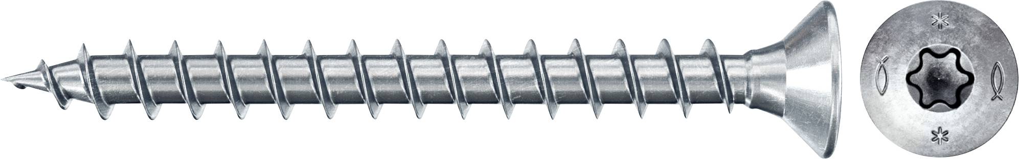 En silverfärgad skruv med ett stjärnformat Torx-huvud visad från sidan, med en närbild av huvudet till höger.
