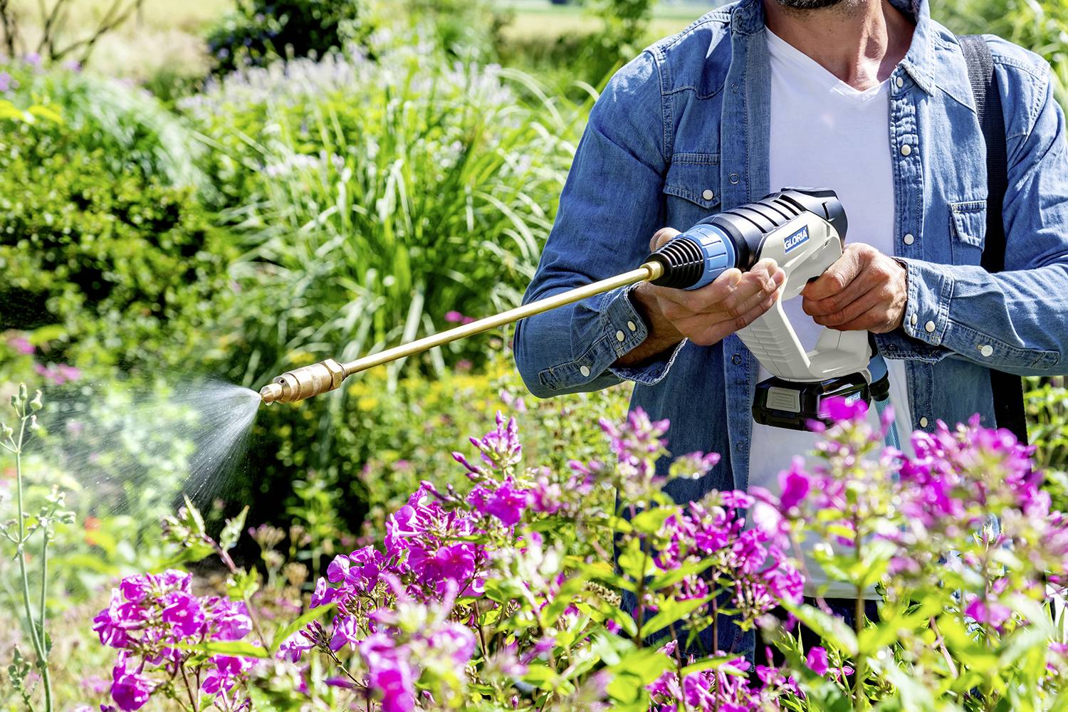 En person vattnar blommande rosa blommor med en tryckvätspruta i en grön trädgård.