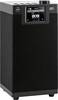 Bordsradio Imperial DABMAN i610 schwarz DAB+, DAB, Internet, FM DLNA-kompatibel Svart