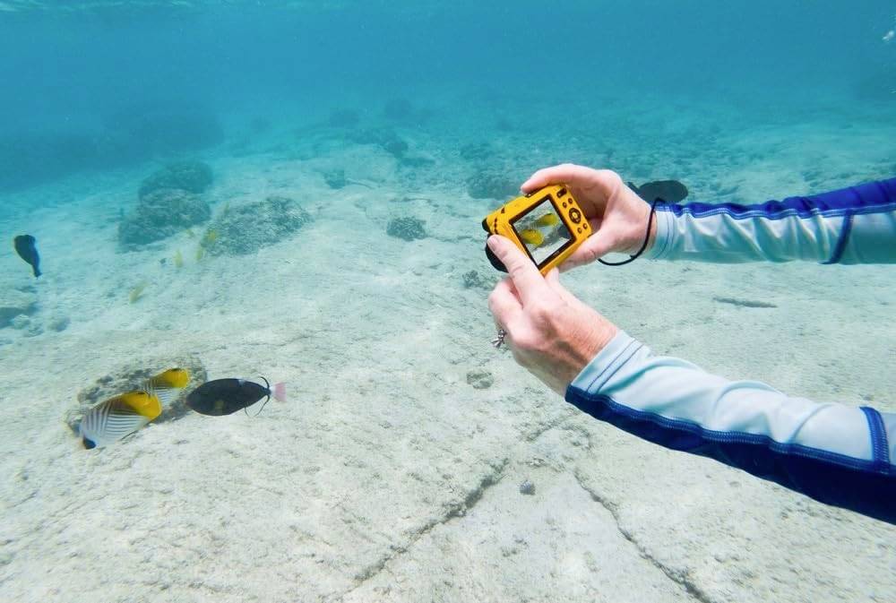 En person fotograferar färgglada fiskar under vattnet med en gul kamera. Klar havsbotten med koraller i bakgrunden.