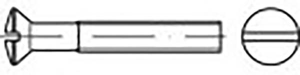 TOOLCRAFT  TO-6862998 Försänkta skruvar linsformad M3 6 mm Spår DIN 964   Rostfritt stål V4A A4 200 st