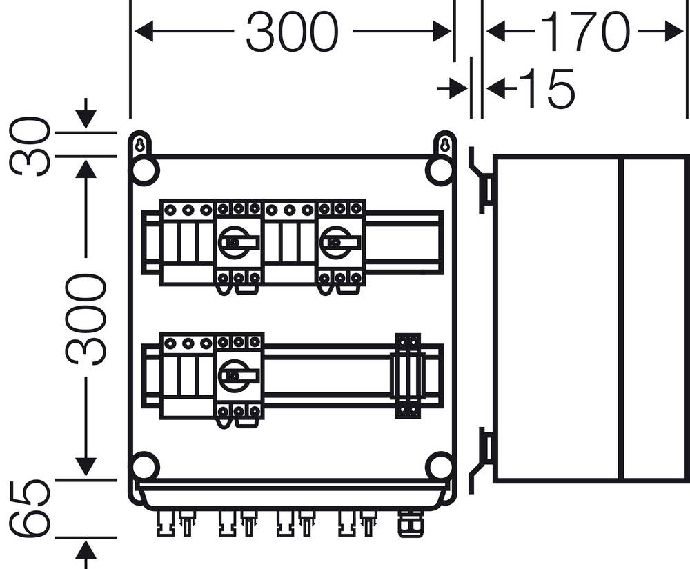 Teknisk ritning av en rektangulär elektronisk enhet med mått i millimeter. Övre mått 300 och 170, vänster mått 65.