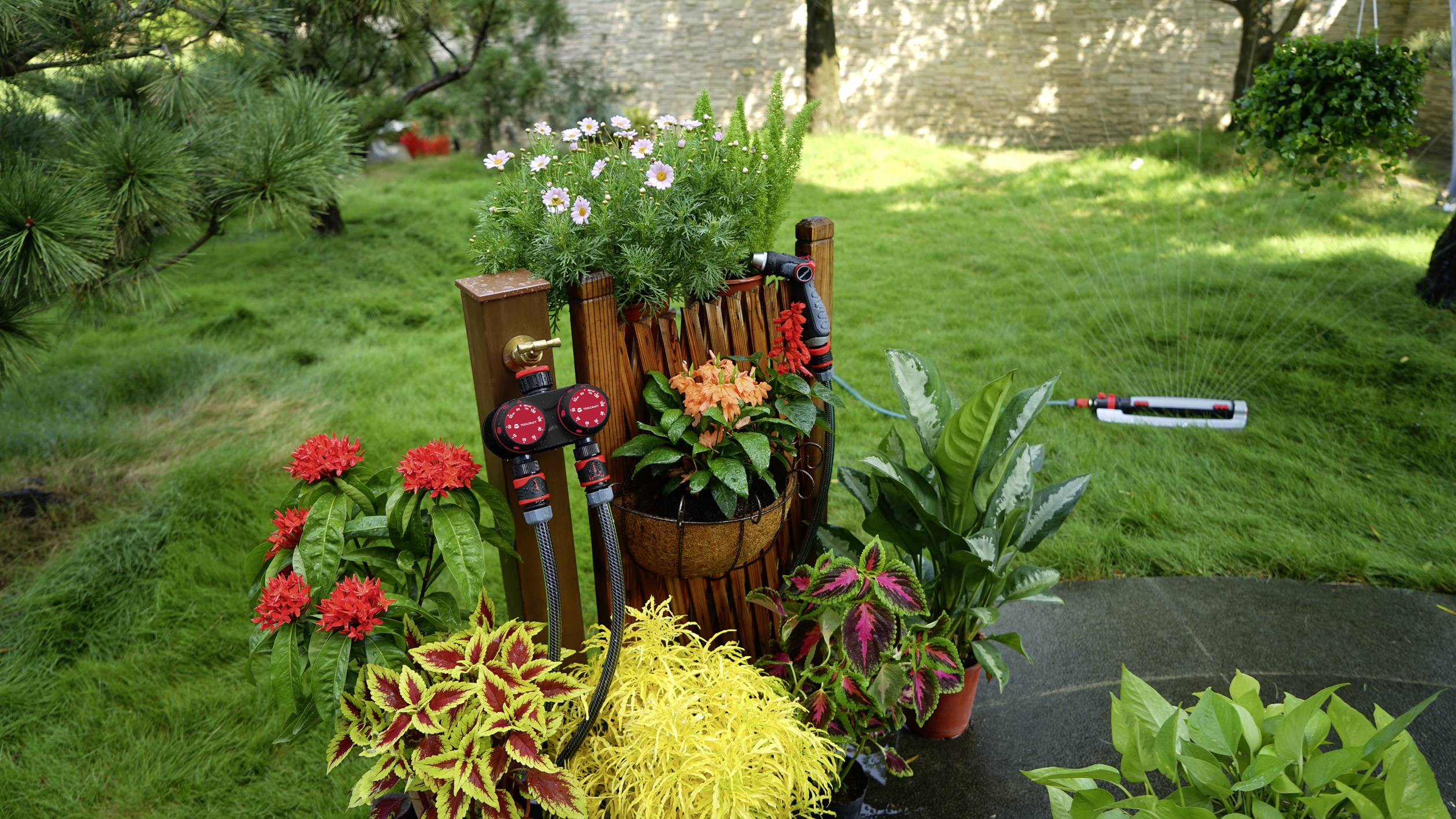 En samling färgglada blommor och växter i ett planterat träfat i en grön trädgård. I bakgrunden sprutar vatten från en vattenspridare.