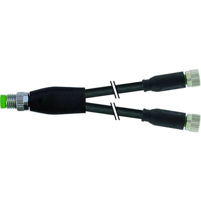 Murrelektronik 7000-87101-6100030 Sensor/ställdon-fördelare & adapter M8 x 1 Kontakt hane rak, Hona rak 0.30 m Antal pol