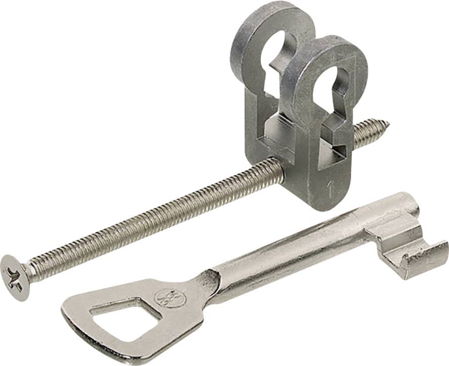 En silvergrå skruvankar med en infälld skruv, bredvid vilken en matchande nyckel ligger, på en vit bakgrund.