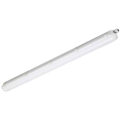 Philips LED CoreLine WT120C LED-våtrumsbelysning LED LED fast installerad 20.5 W Neutralvit Grå