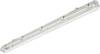 Philips LED Ledinaire WT050C 1xTLED L1500 LED-våtrumsbelysning LED T8 Grå, Vit