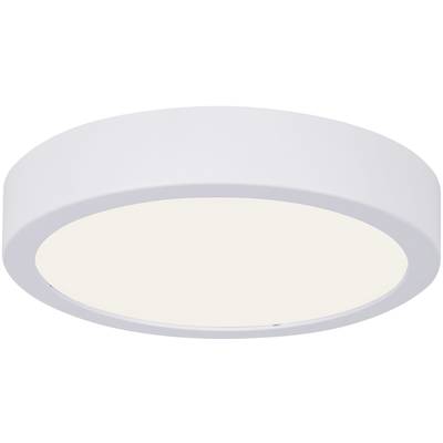 Paulmann Inbyggd LED-badrumspanel 13 W IP44 Vit