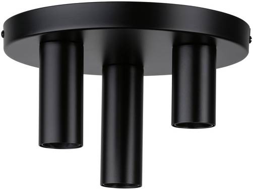 Paulmann 79761  Takbelysning  E27   Svart
