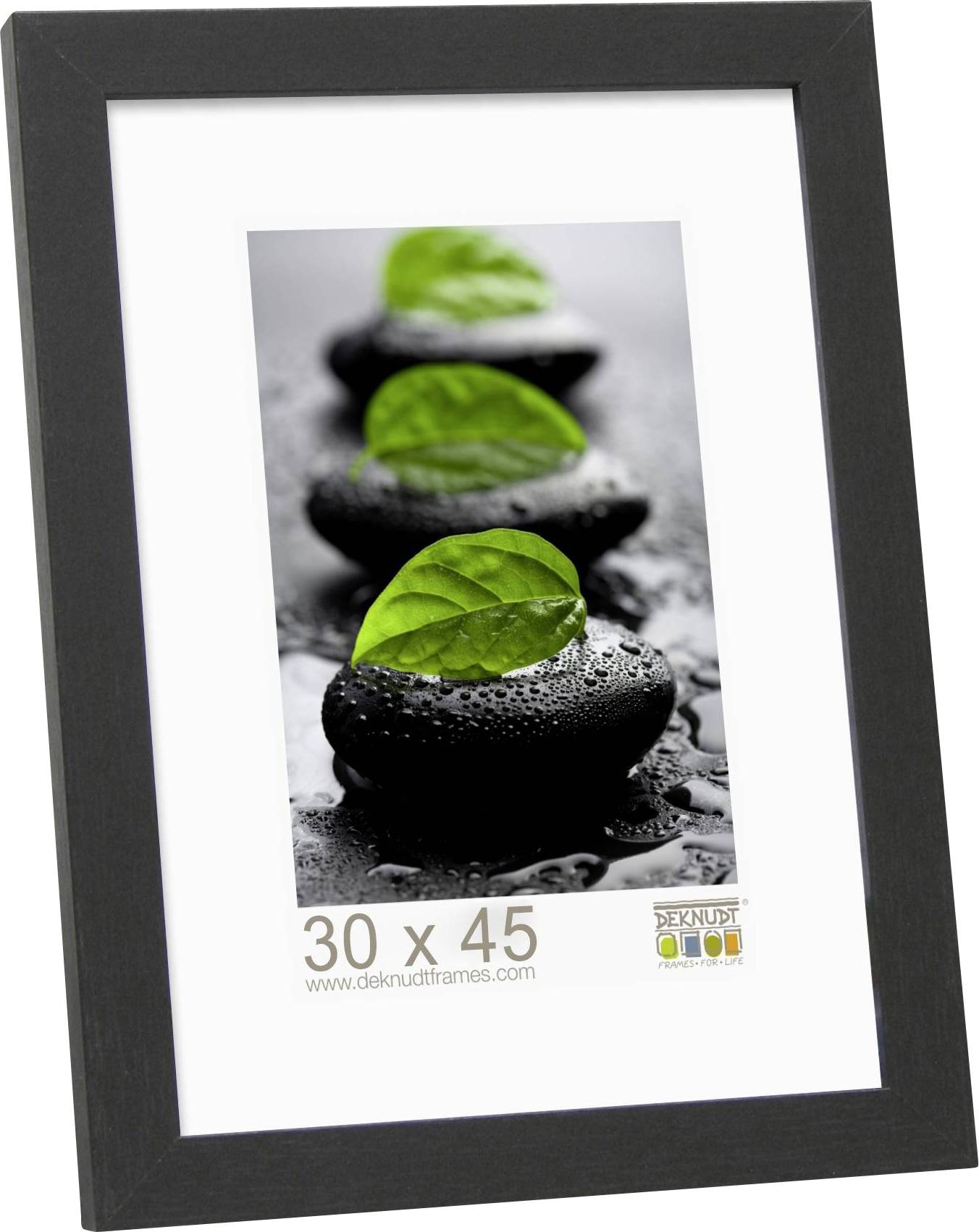 Svart fotoram med bild av jämna stenar med gröna blad liggande ovanpå. Mått: 30 x 45 cm.