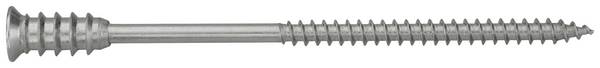 SWG 2346608019  Justeringsskruv 6 mm 80 mm     Stål  100 st