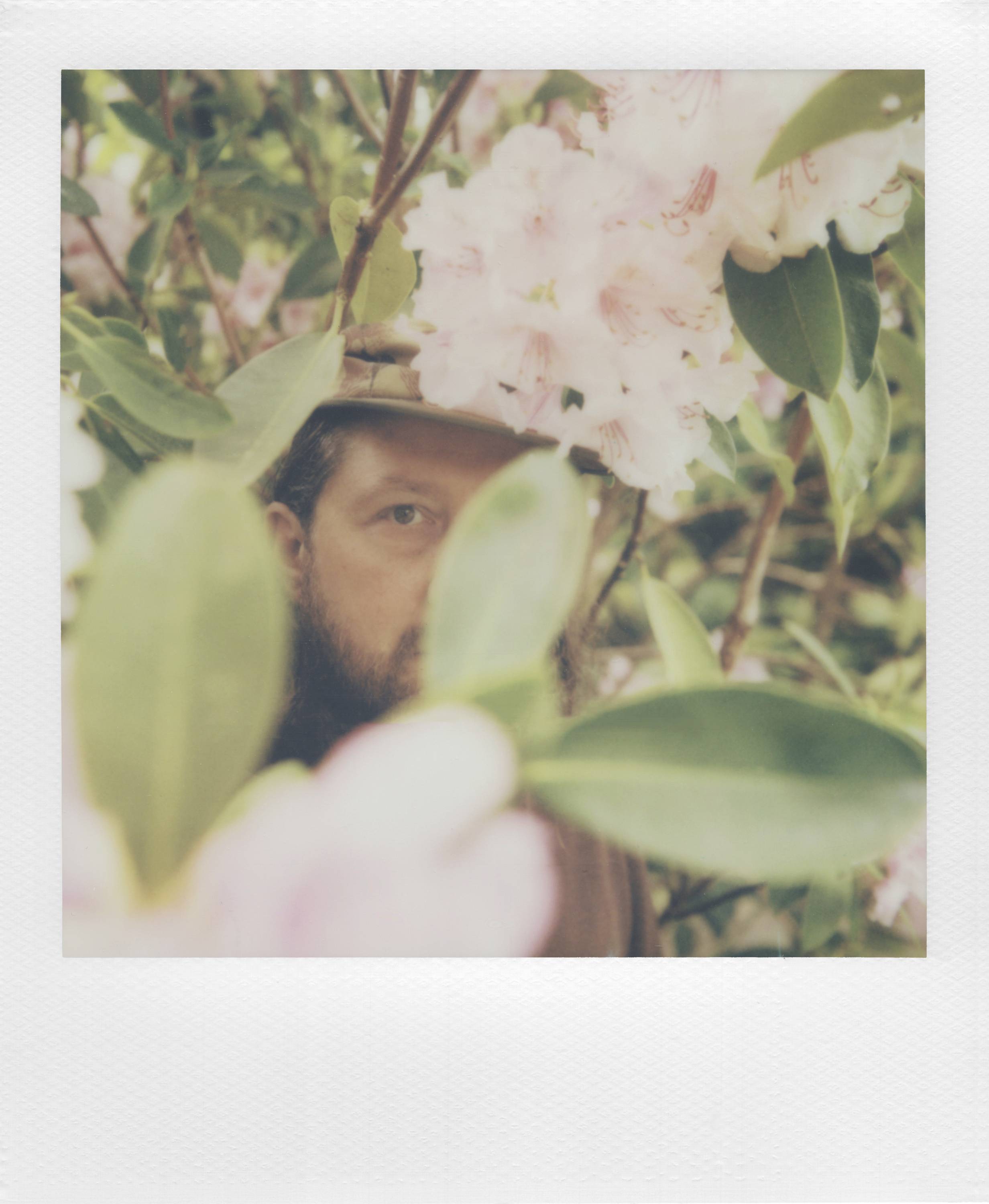 En person tittar genom rosa blommor och gröna blad på en buske, delvis skymd, medan de bär en hatt.