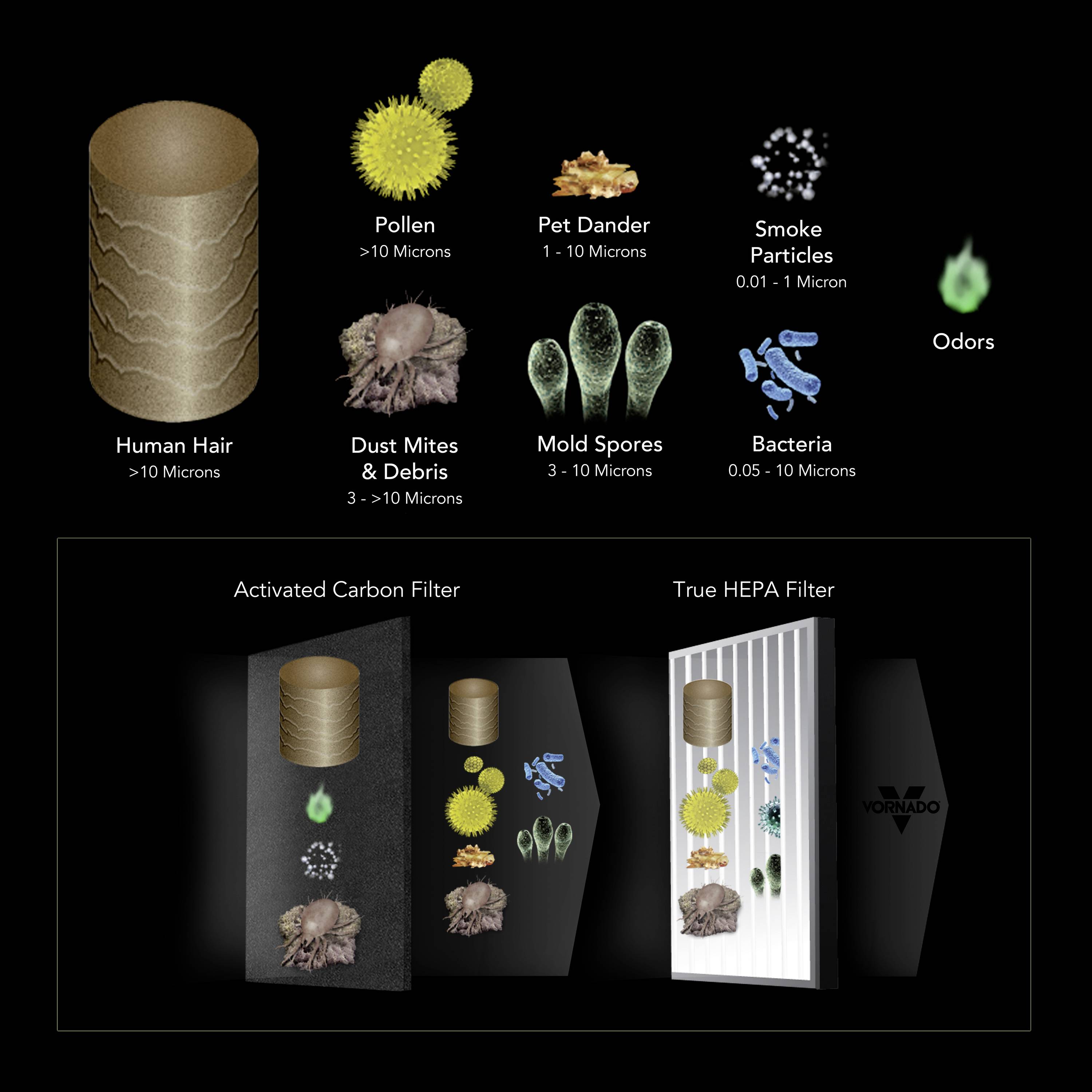 Bilden visar två filter, ett med aktivt kol och ett äkta HEPA-filter, som filtrerar bort föroreningar som pollen, rök, bakterier och lukter.