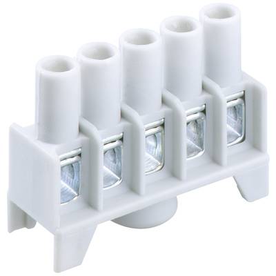 Spelsberg 84000401 Kopplingsplint Grå 41 A