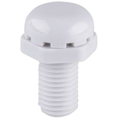 Bopla 52041060 DAE M6 Druckausgleichselement RAL 7035 Tryckkompensering element M6 Polyamid 6 Grå-vit (RAL 7035) 5 st