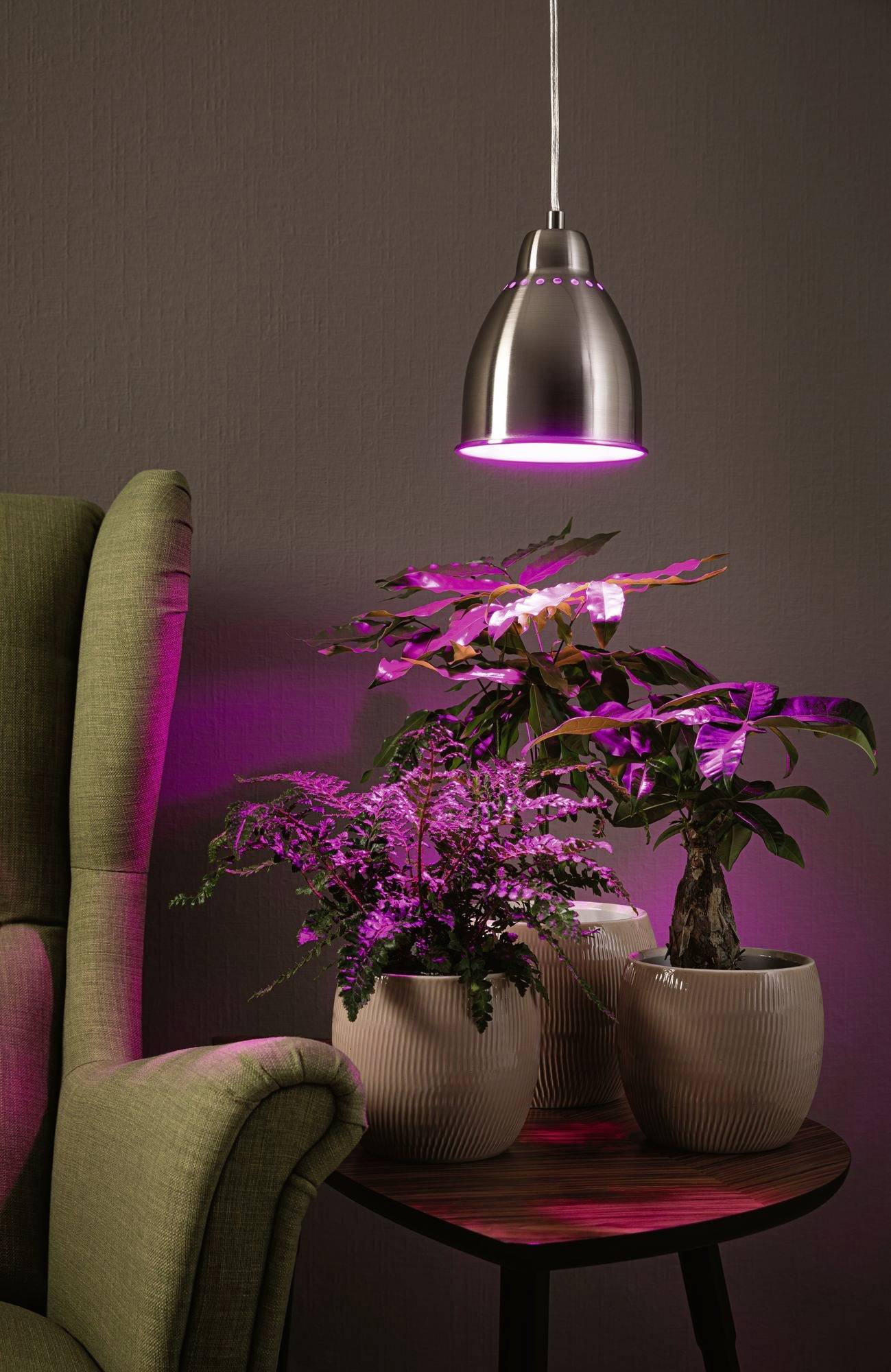 Växter på ett bord under en rosa lampa, bredvid en grön fåtölj.