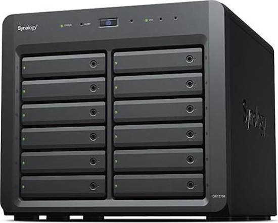 Ett Synology-nätverkslagringssystem med tolv hårddiskplatser, lämpligt för datalagring i företag.