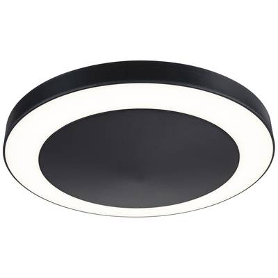 Paulmann Circula 94526 LED-utomhusväggbelysning med rörelsedetektor 14 W Antracit