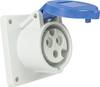 AS Schwabe 60480 CEE apparatdosa 16 A 230 V 1 st