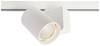 Deko Light Nihal 707040 LED-strålkastare 3-fasig 33 W LED EEK: G (A - G) Vit