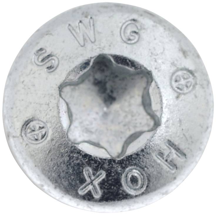 Närbild av ett silverfärgat skruvhuvud med stjärnspår, märkt med bokstäverna 'SWG' och 'H10'.