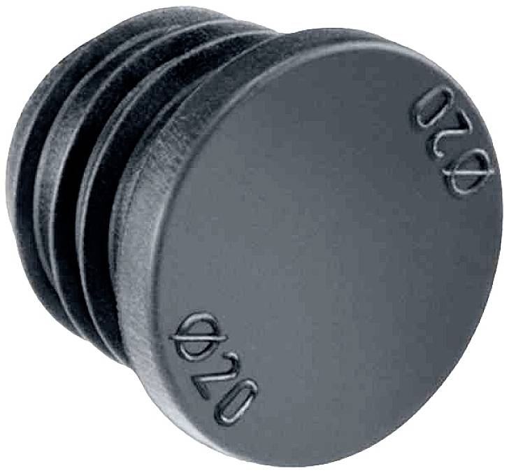 Svart, rund plastpropp med en inpräglad diameter på 20 mm, avsedd som ändlock för ett rör.