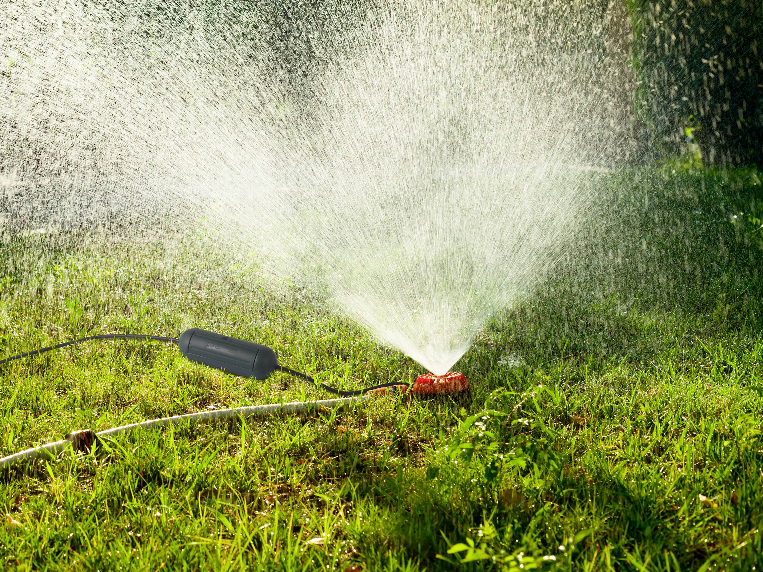 En grässprinkler vattnar en grön gräsmatta i solsken, vattnet spretar i en bred båge.
