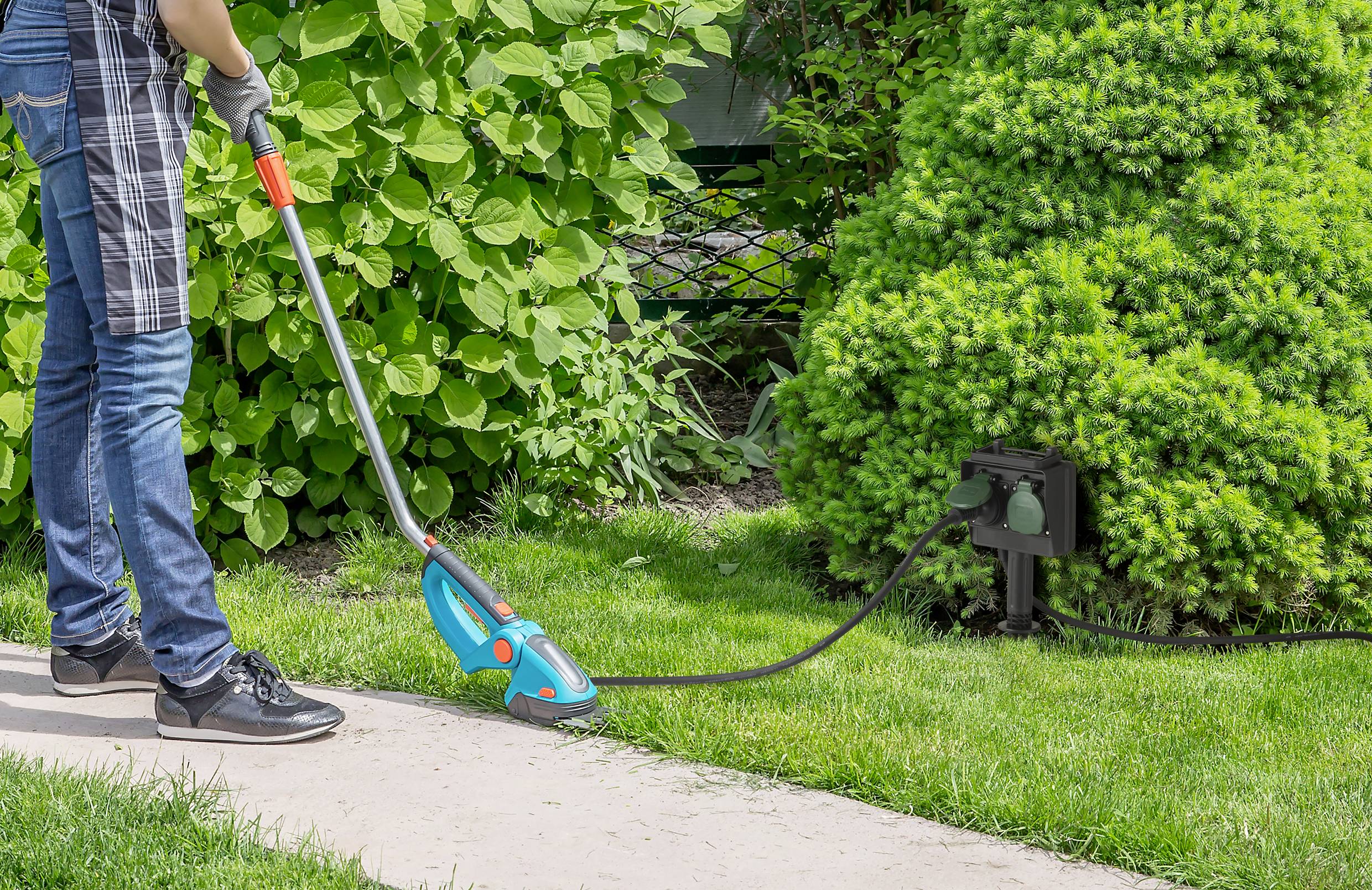 En person klipper gräsmattan med en liten elektrisk gräsklippare längs en gångväg i en välskött trädgård.