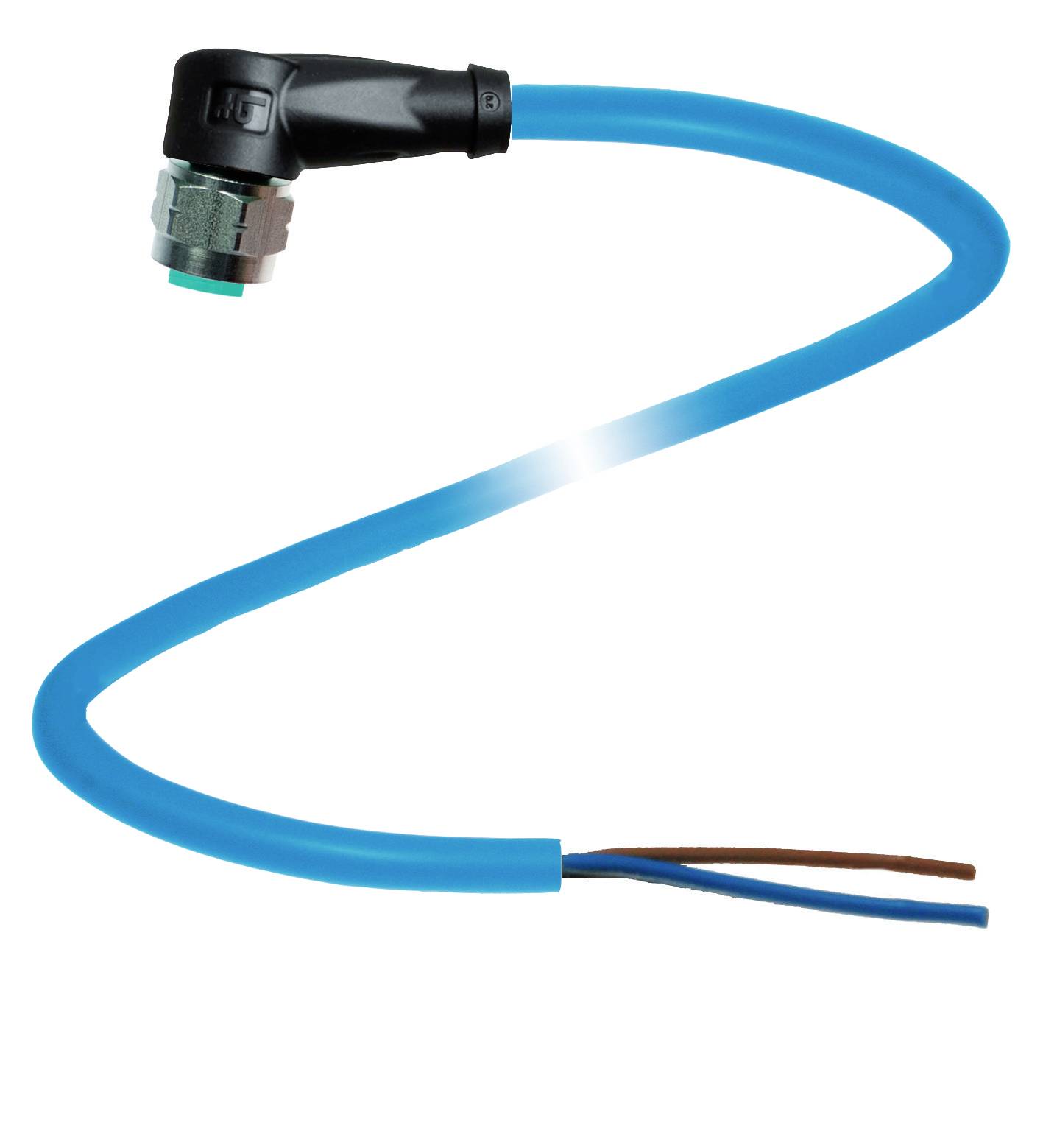 En blå kabel med en vriden svart kontakt och två öppna ändar, en brun och en blå, avbildad på en vit bakgrund.