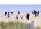 En grupp människor som söker skatter med metalldetektorer på stranden. Sand, hav och moln i bakgrunden.