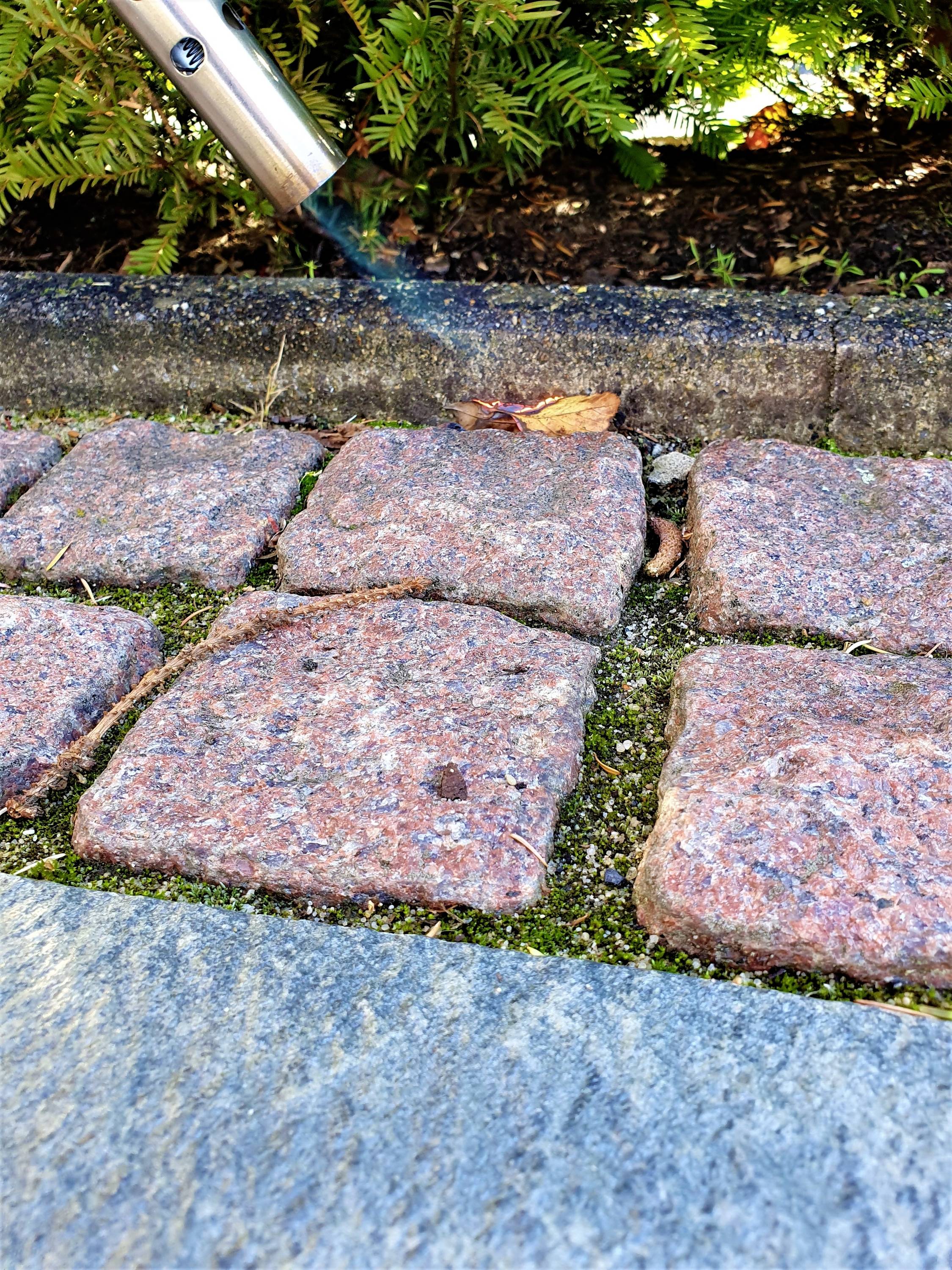 Närbild av granitgatsten, intill en tunn metallrör som alstrar en blå låga. I bakgrunden syns växter.