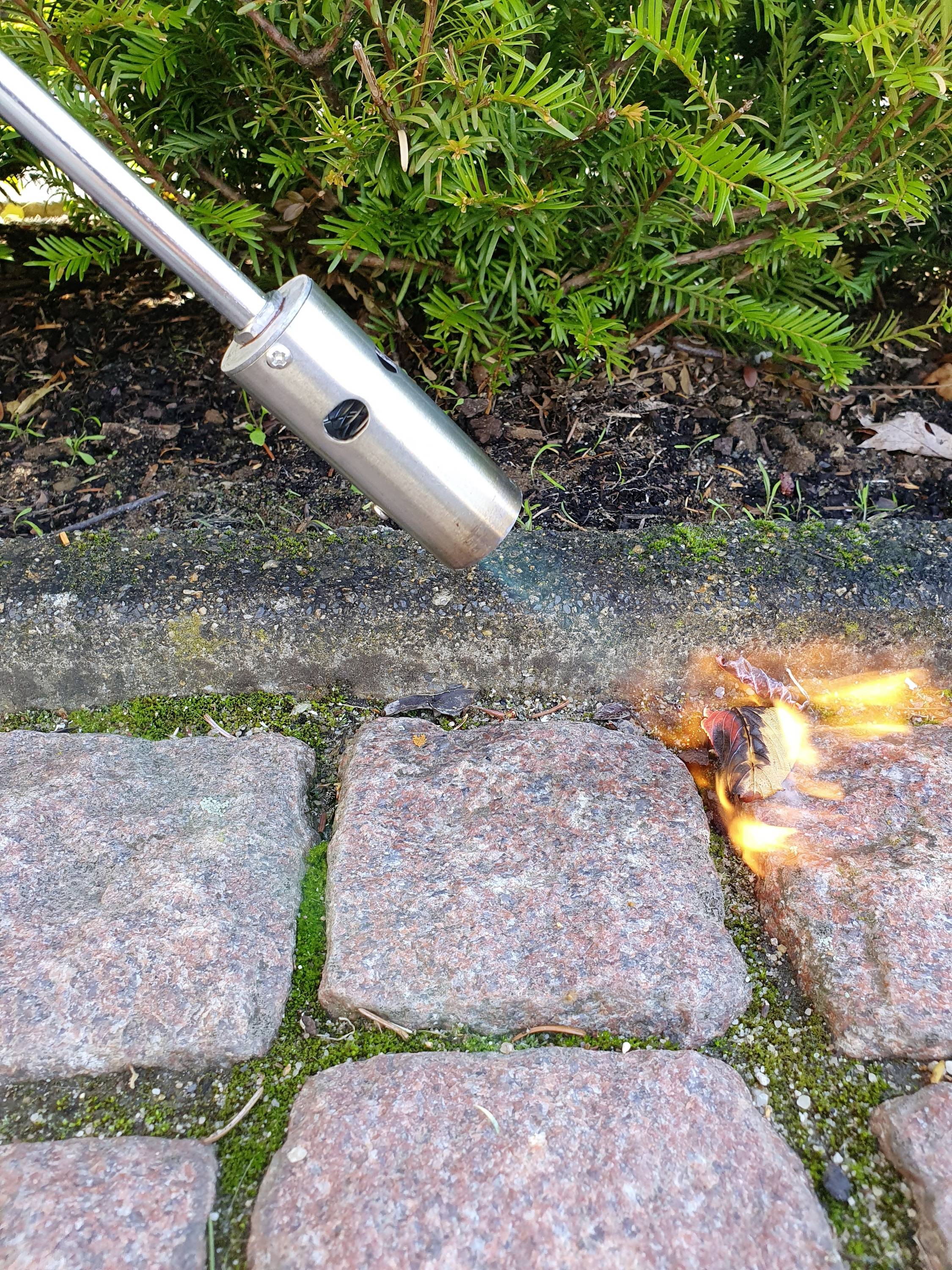 En metallapparat för brännande ogräs mellan gatstenar för att ta bort det. I bakgrunden syns gröna buskar.