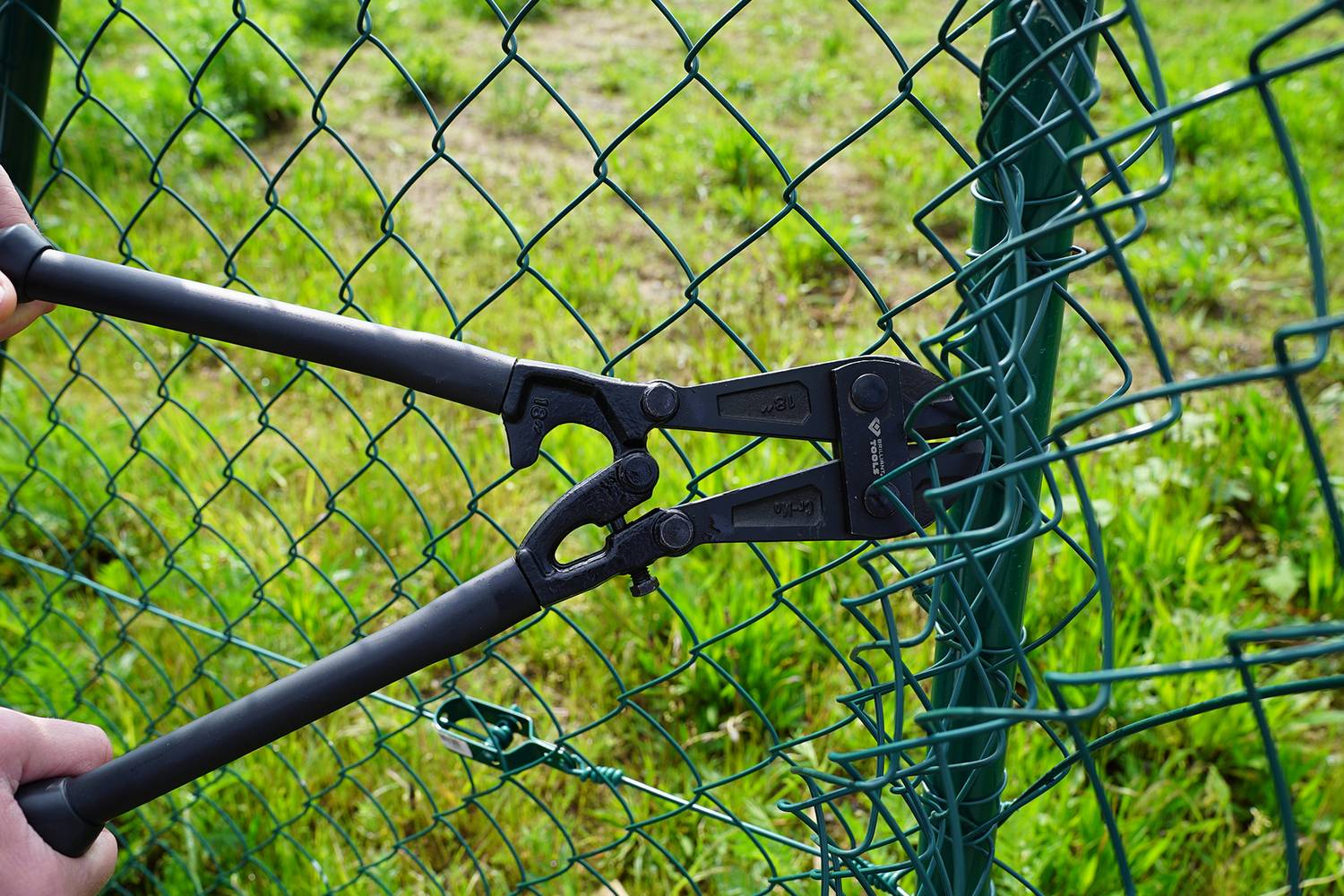 En bultsax klipper igenom ett stängsel av taggtråd.