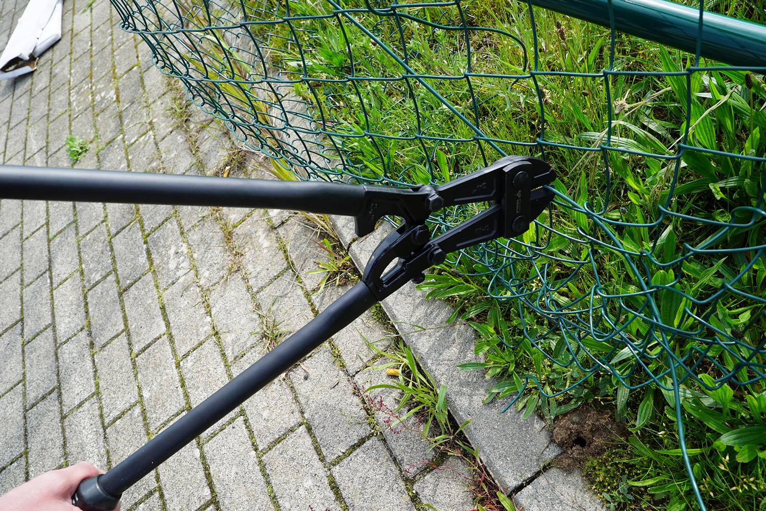 En person klipper en ståltrådsstängsel med stora bultsaxar. Stängslet är vid en asfalterad väg intill gräs.
