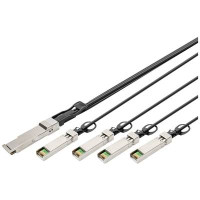 En kabel med en stor kontakt på ena sidan, som delar sig i fyra mindre kontakter på den andra sidan.